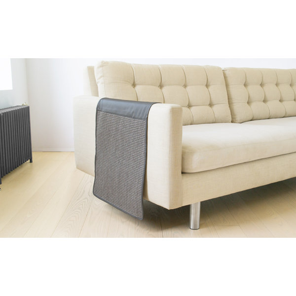 Why Is My Dog Scratching The Sofa